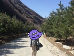 -少华山国家森林公园