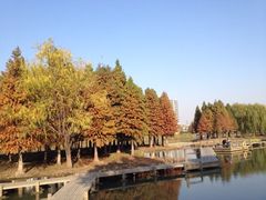 iphone_upload_pic-白塘生态植物园