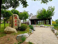 -武清南湖绿博园