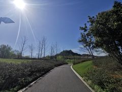-雅达·阳羡溪山小镇中心