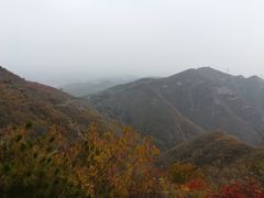 -平行世界·猫咖(首经贸店)