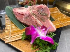-杨小佳·齐齐哈尔烤肉·烤串(广州店)