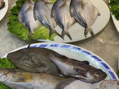-鲜得莱渔港·小平岛海胆馆(七贤岭店)