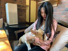 -more than meow吴止猫主题餐厅(承德 中船汇店)