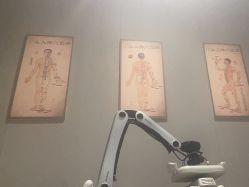 -Yestar艺星医疗美容医院