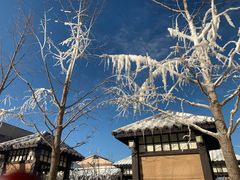 -南宫温泉水世界