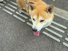 -宠颐生汉谟拉比宠物医院