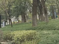 -昆山城市生态森林公园