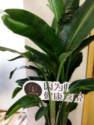 -归位瑜伽＆普拉提馆