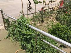 -渔家灯火娱乐城(前进西路店)