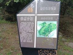 -白水寺森林公园
