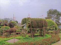 -铁山坪森林公园