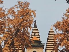 -北京石刻艺术博物馆(五塔寺)