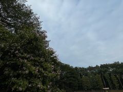 -华南师范大学(广州大学城校区)