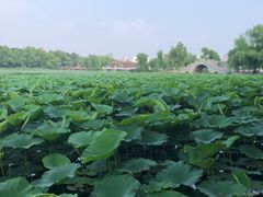 -长春市南湖公园