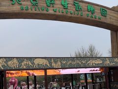 -北京野生动物园