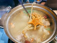 鲜人参锅底-千岛蚝高压锅生蚝·人参火锅(白云万达店)