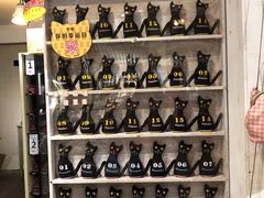 -猫咪博物馆(顶澳仔猫街店)