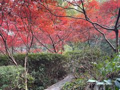 -岳麓山风景名胜区