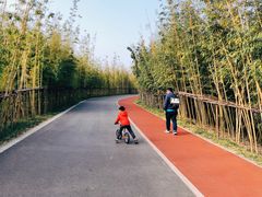 -上海长兴岛郊野公园