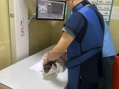 -瑞派天使宠物医院·神经外科·骨科·核磁(洛川中路店)