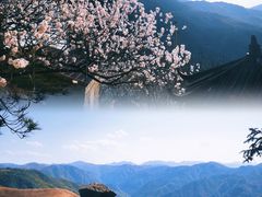 -四明山国家森林公园