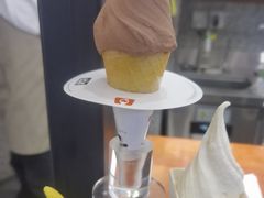 -野人先生Gelato(上海长宁龙之梦店)