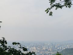 -灵顺寺