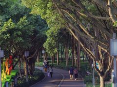 -顺峰山公园