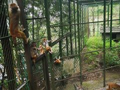 -藏龙百瀑风景区