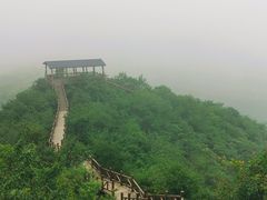 -大岭沟猕猴桃谷风景区