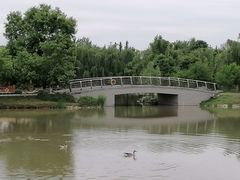 -西安浐灞国家湿地公园