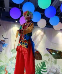 点击看大图 -宝燕乐园(闵行旗舰店)