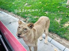 -北京野生动物园