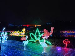 -飞凤山奥体公园