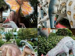 -海合安武汉极地海洋公园