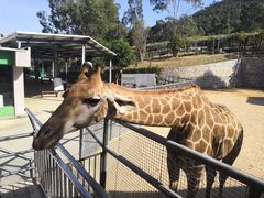 -泉州海丝野生动物世界