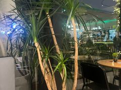 -gaga(深圳南山益田假日广场店)