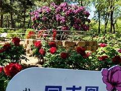 -太阳宫公园