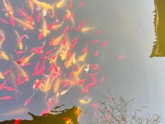 -西安华清御汤酒店