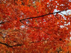 -长辛店二七公园