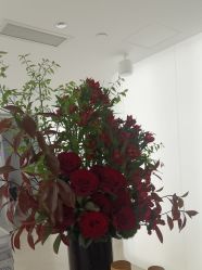 点击看大图 -BR光电保养