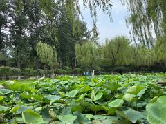 -唐山抗震纪念碑广场