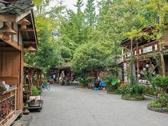 -青城甲(青城山店)