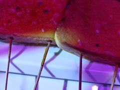 -粉墨特色菜·烧烤音乐酒馆