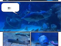 -左海海底世界