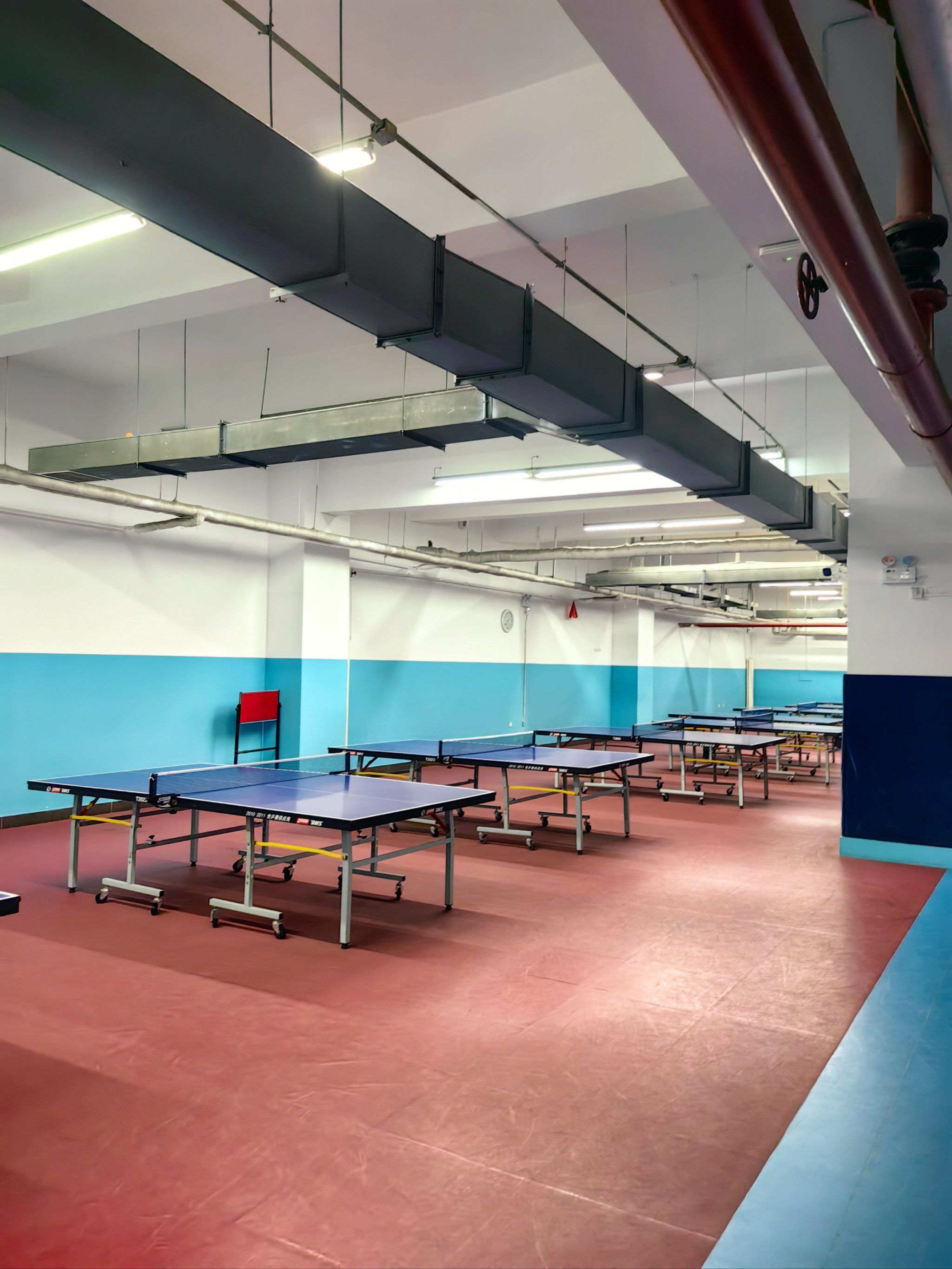 室内乒乓球起步训练 从头学起