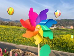 -桑洲油菜花景区