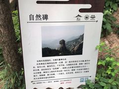 -崂山巨峰游览区