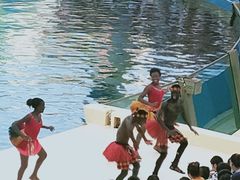 -秦皇岛乐岛海洋王国